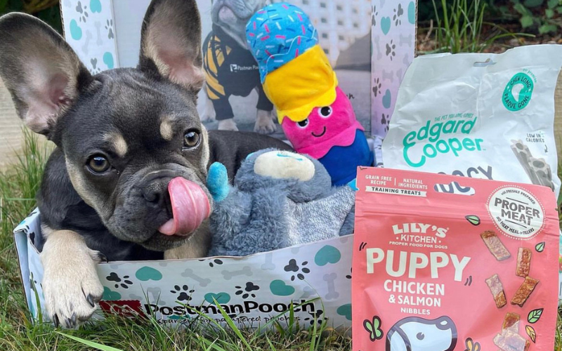 Exploring the World of Dog Treat Boxes with Postman Pooch