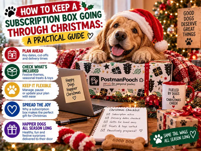 How to Keep a Subscription Box Going Through Christmas: A Practical Guide