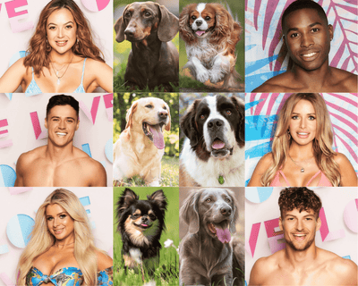 Your Favourite Love Island Contestants As Dog Breeds