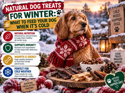 Natural Dog Treats for Winter: What to Feed Your Dog When It's Cold