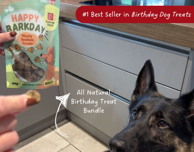 Gifts for dog lovers
