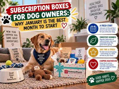 Subscription Boxes for Dog Owners: Why January Is the Best Month to Start