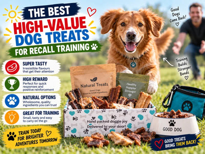 The Best High-Value Dog Treats for Recall Training