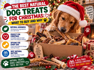 The Best Natural Dog Treats for Christmas: What to Buy and Why
