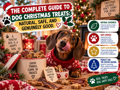 The Complete Guide to Dog Christmas Treats: Natural, Safe, and Genuinely Good