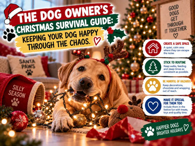 The Dog Owner's Christmas Survival Guide: Keeping Your Dog Happy Through the Chaos