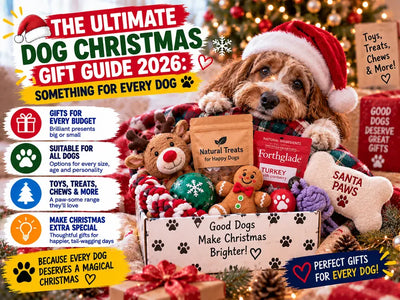 The Ultimate Dog Christmas Gift Guide 2026: Something for Every Dog