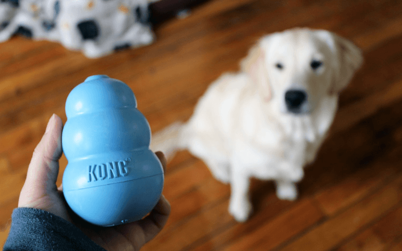 Best Indestructible Dog Toys for Aggressive Chewers