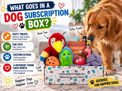 What Goes in a Dog Subscription Box? An Honest Look Inside
