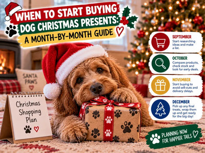 When to Start Buying Dog Christmas Presents: A Month-by-Month Guide