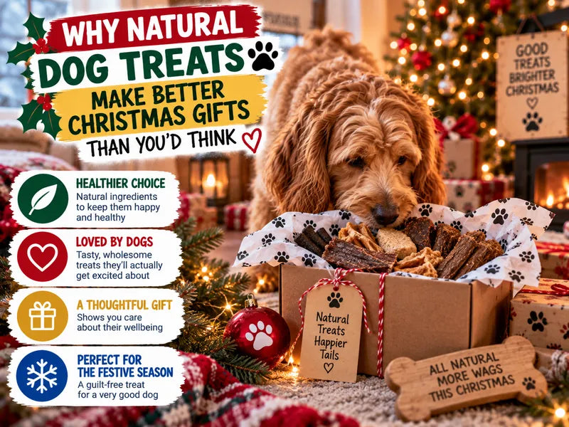 Why Natural Dog Treats Make Better Christmas Gifts Than You'd Think