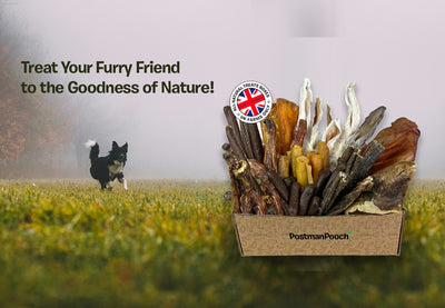 All-Natural Dog Treats: Why Sustainability Matters