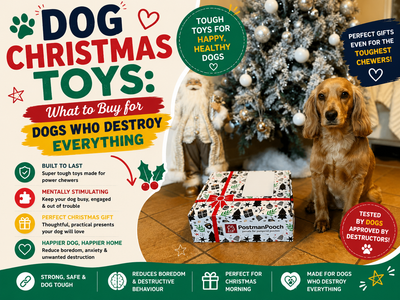 Dog Christmas Toys: What to Buy for Dogs Who Destroy Everything