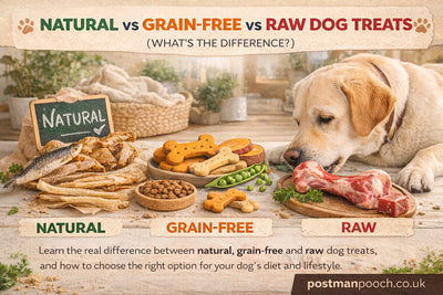 The Difference Between Natural, Grain-Free, and Raw Dog Treats