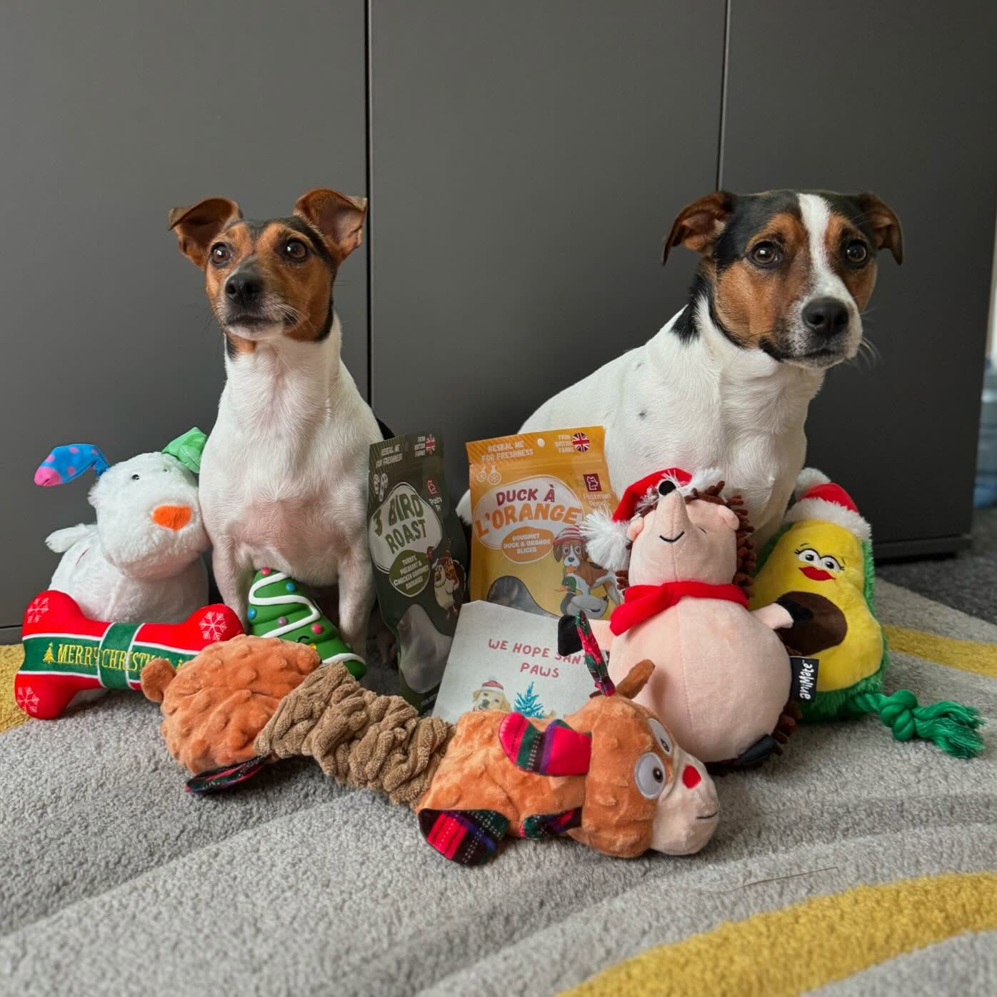 Dog’s Christmas Gifts