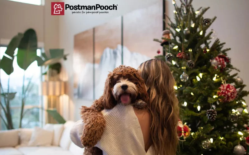 A Guide to Christmas Presents for Dogs from Postman Pooch