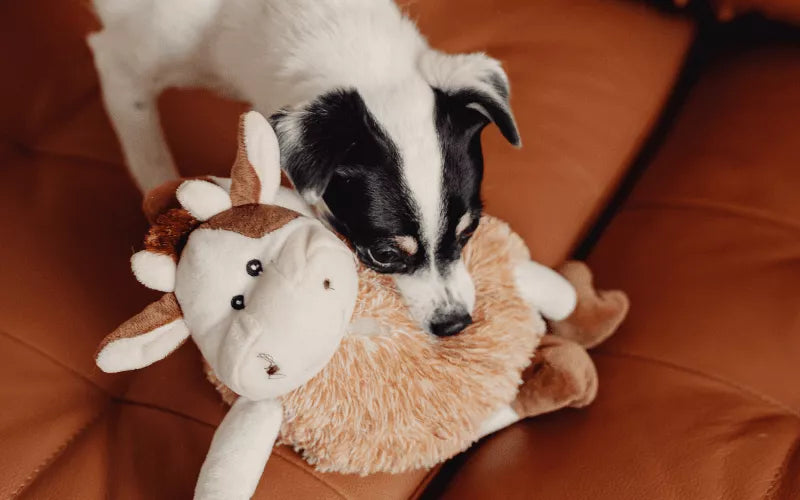 Plush Toys for Dogs That Will Make Their Tails Wag!