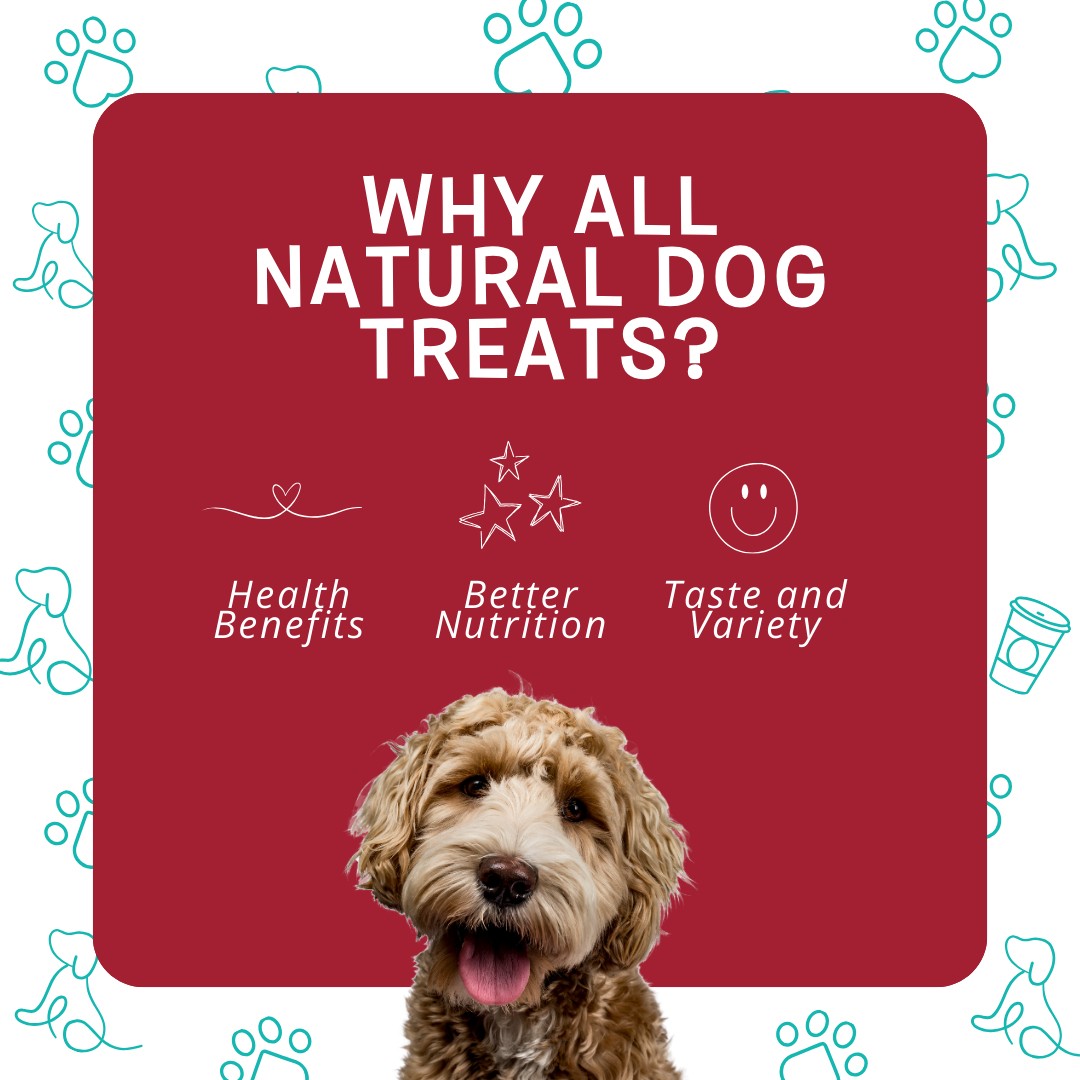 Why Choose All Natural Dog Treats