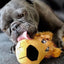 Wild Crinkler Lion Dog Toy