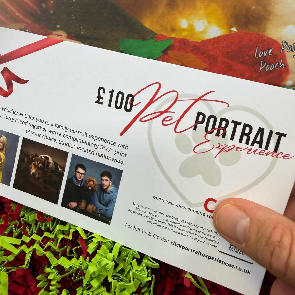 100 pet portrait voucher