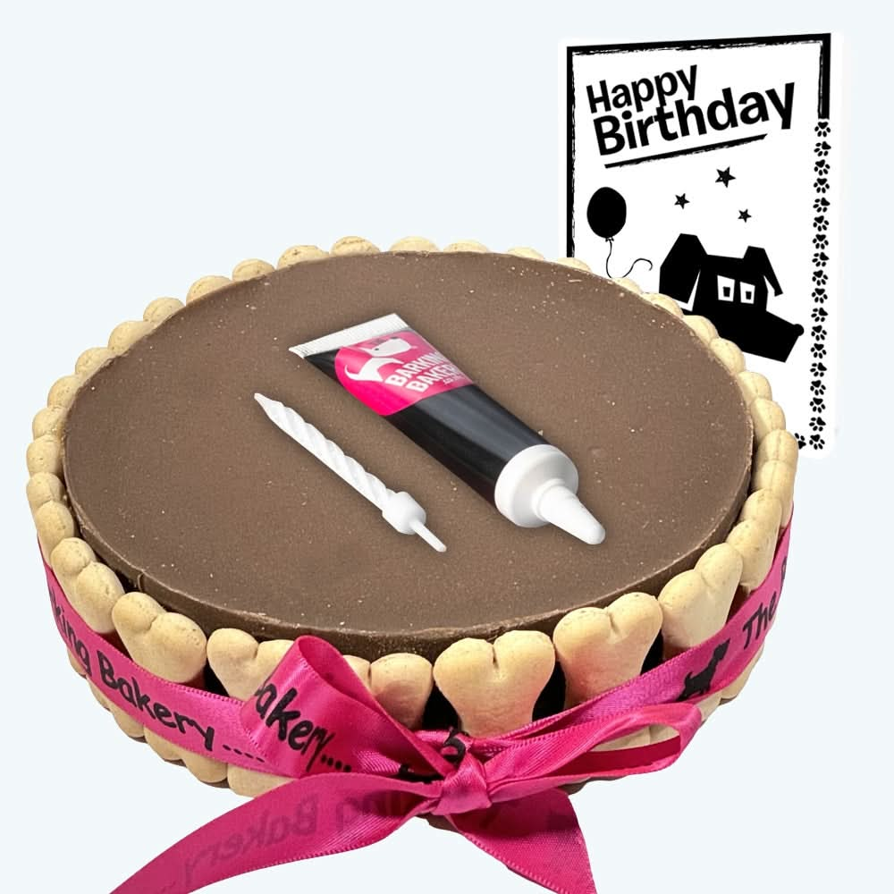 Dog Birthday Cake, Icing Pen & Card - Carob