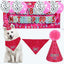 It’s My Birthday Mother Puppers Party Set – Blue or Pink