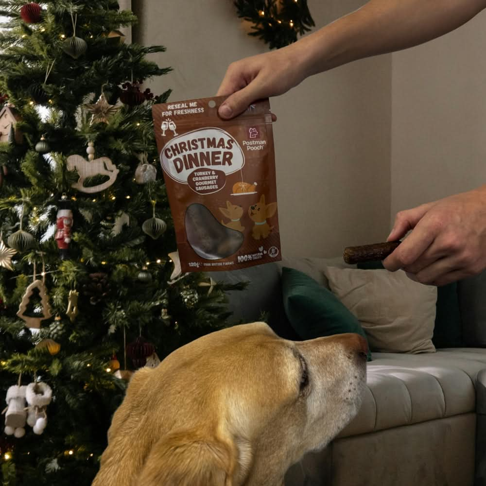 Christmas Dinner dog treats