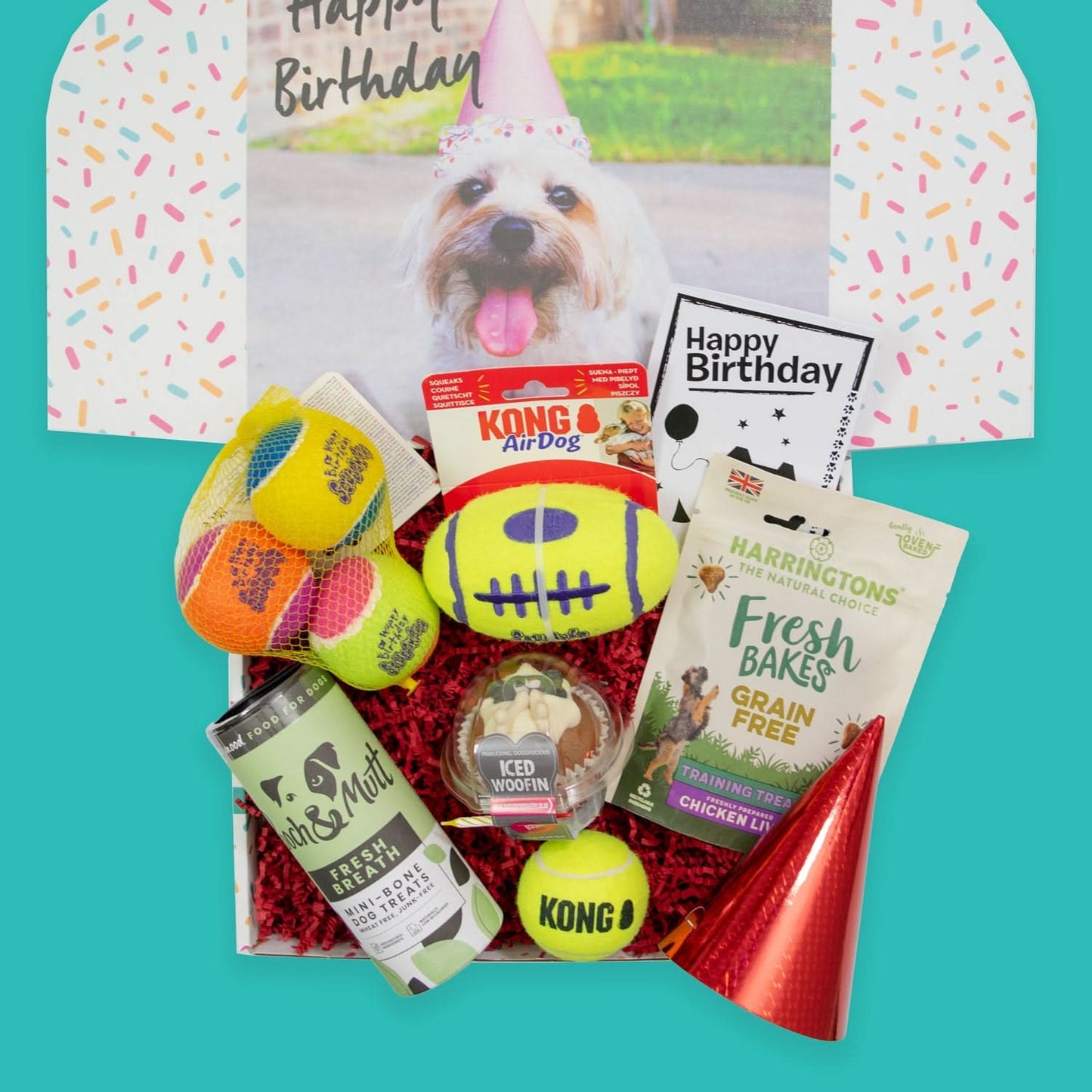 Kong Dog Toy Birthday Box