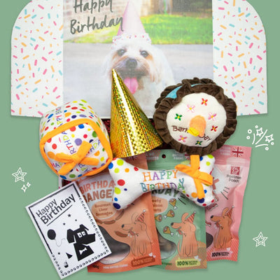 The Ultimate Dog Birthday Box