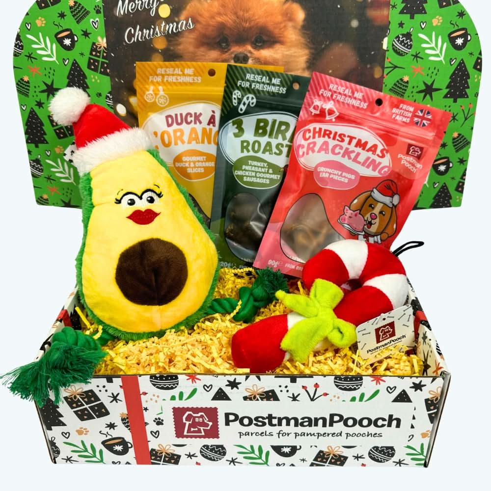 Festive Food Christmas Dog Treat Box