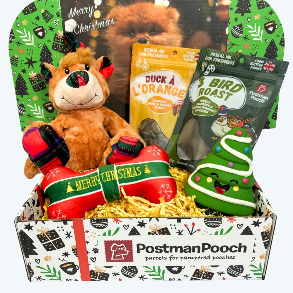 Soft Toy Dog Christmas Box