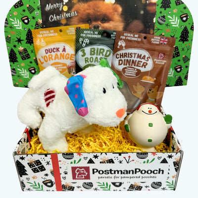 Winter Wonderland Dog Christmas Box