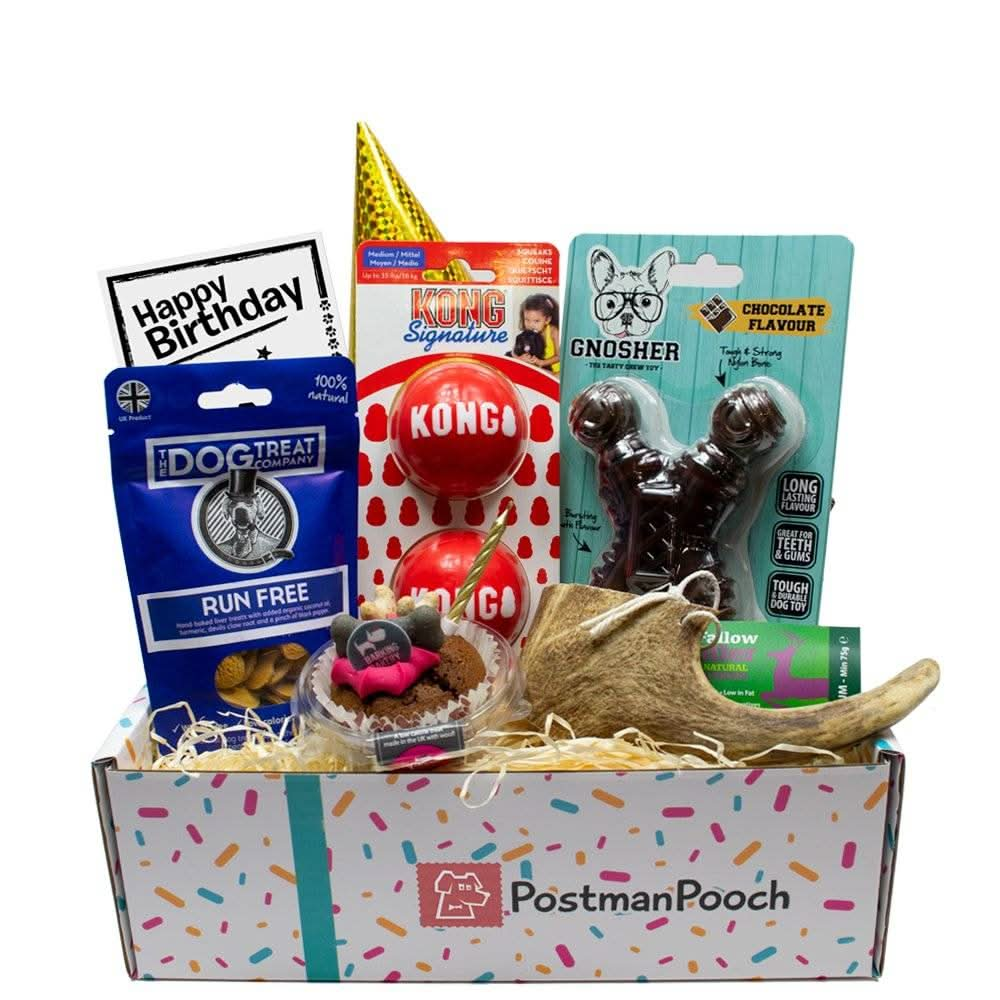 Tuff Dog Toy Birthday Box