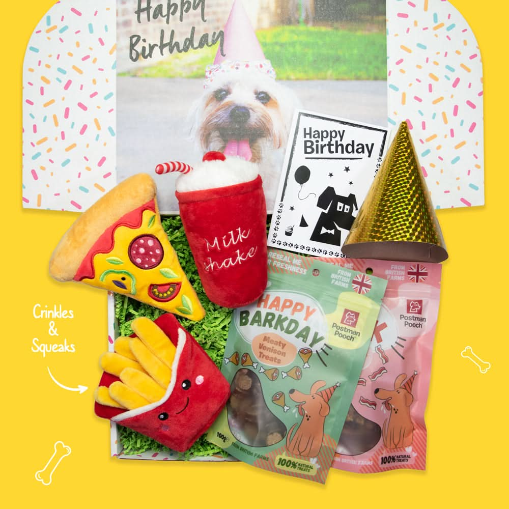 Fast Food Feast Dog Birthday Box