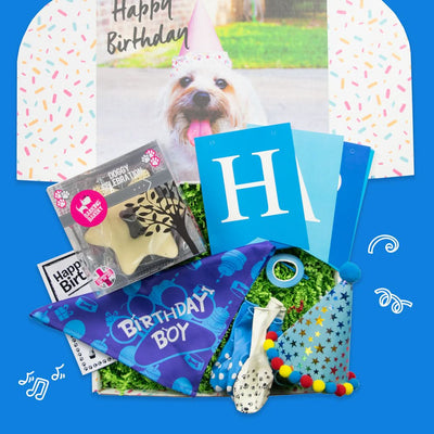 Dog Birthday Party Box – Boys