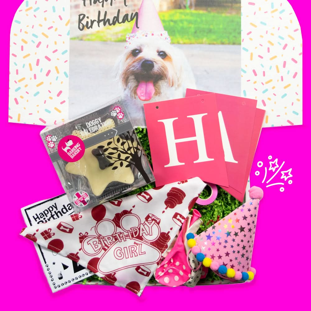 Dog Birthday Party Box – Girls