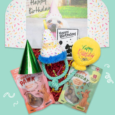 Dog Birthday Celebration Box