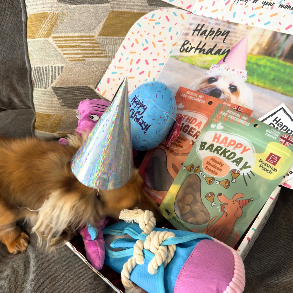 Happy Snappy Dog Birthday Box