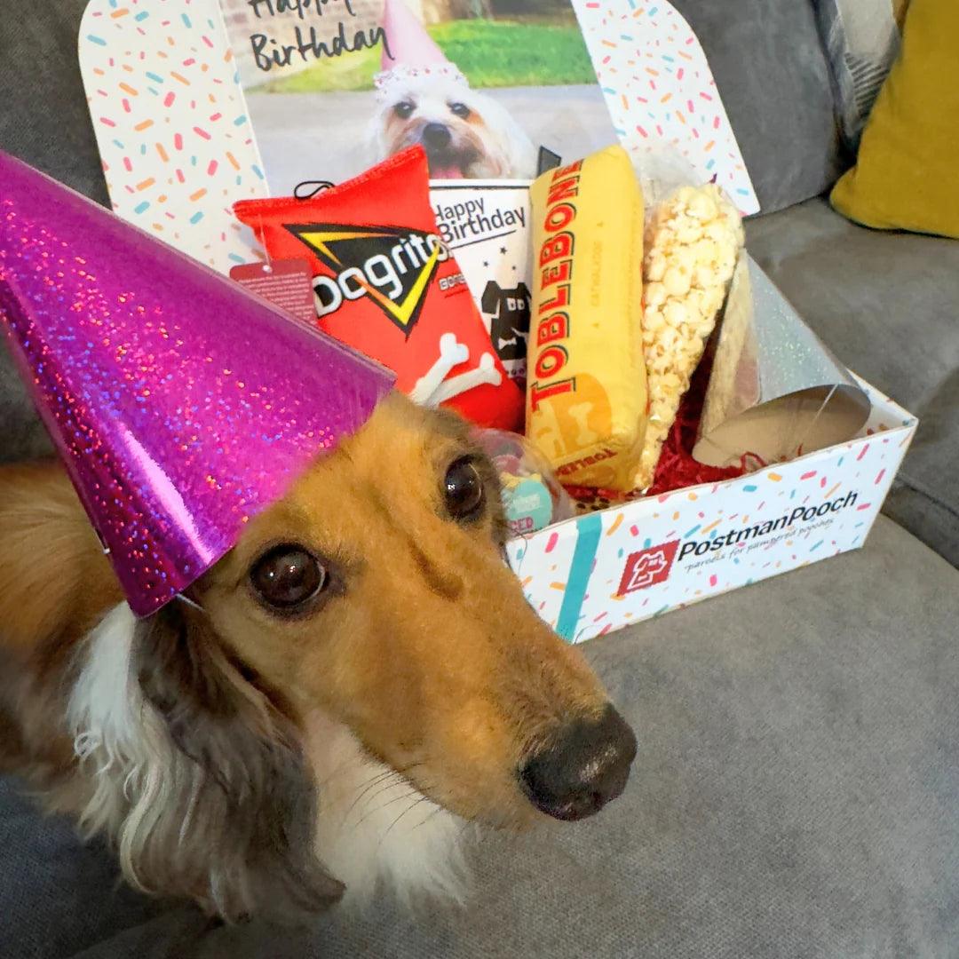 Movie Night Dog Birthday Box