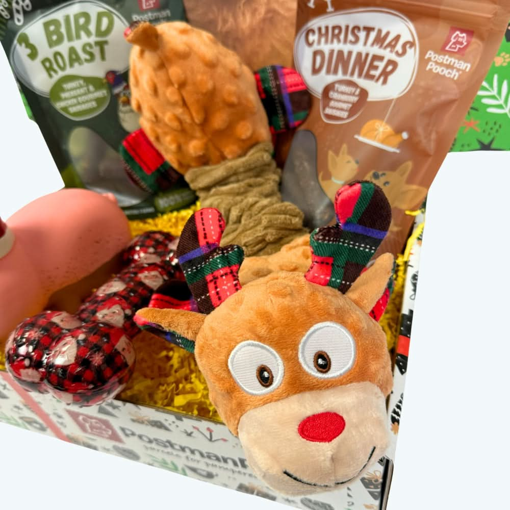 Rudolphs Top Toys - Dog Christmas Box