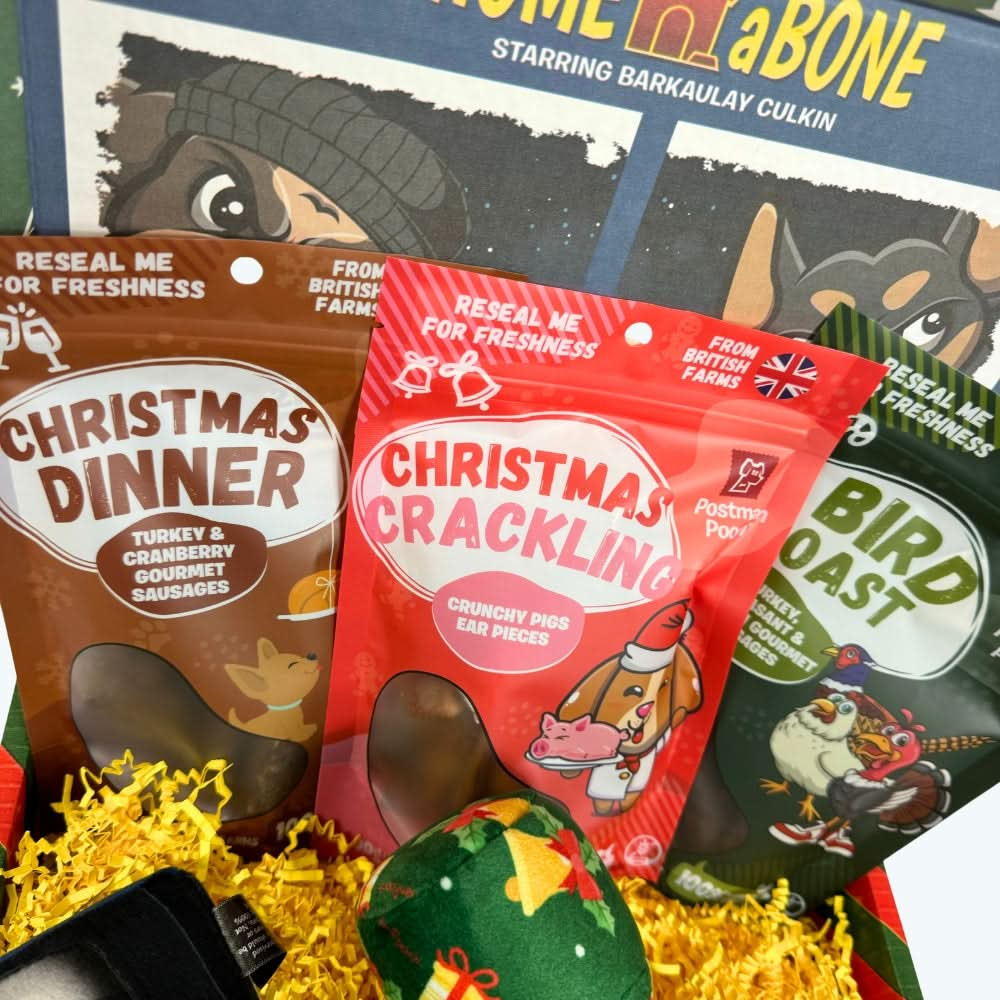 Home aBone Dog Christmas Box - Limited Edition