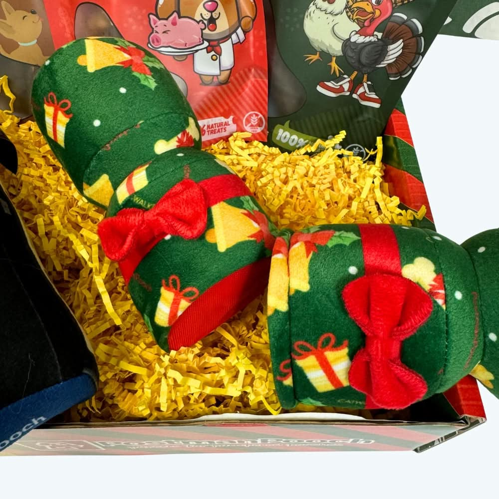 Home aBone Dog Christmas Box - Limited Edition