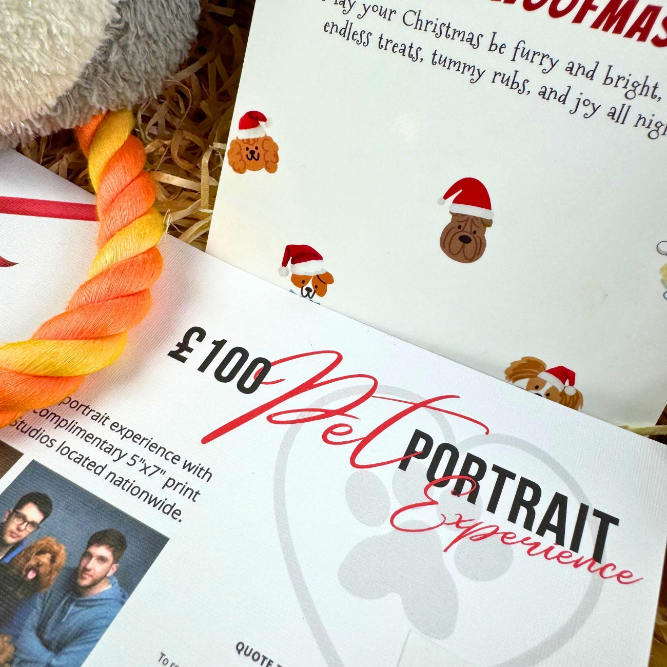 pet portrait voucher