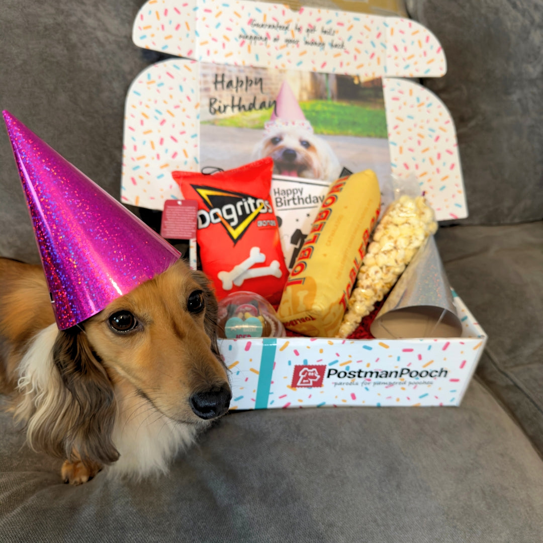 Movie Night Dog Birthday Box