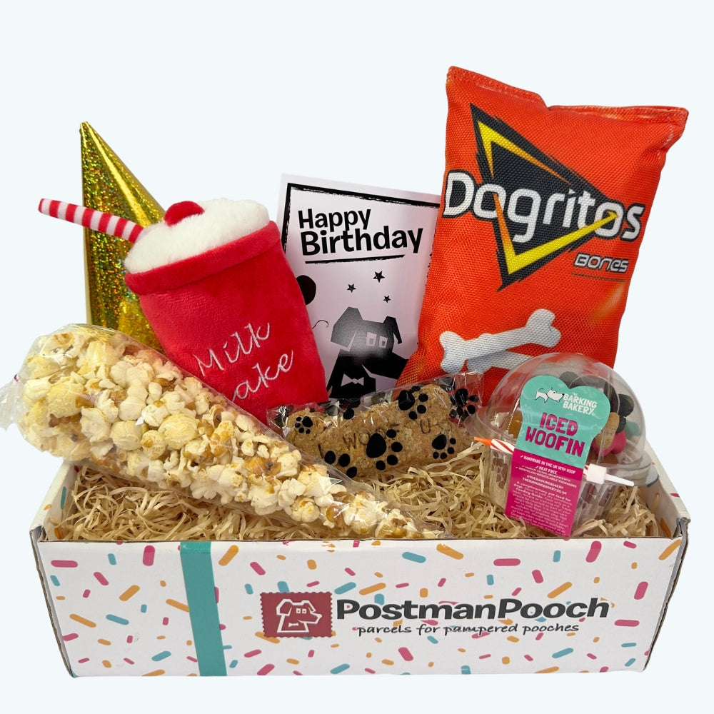 Movie Night Dog Birthday Box