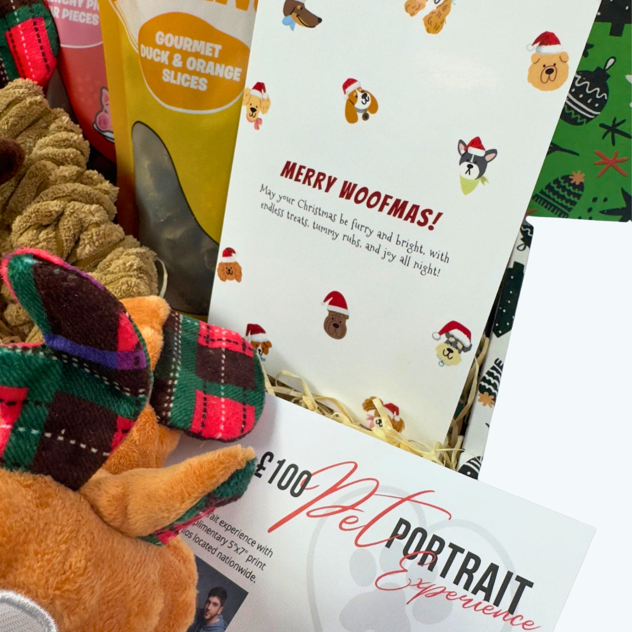 Dog Christmas Card and voucher