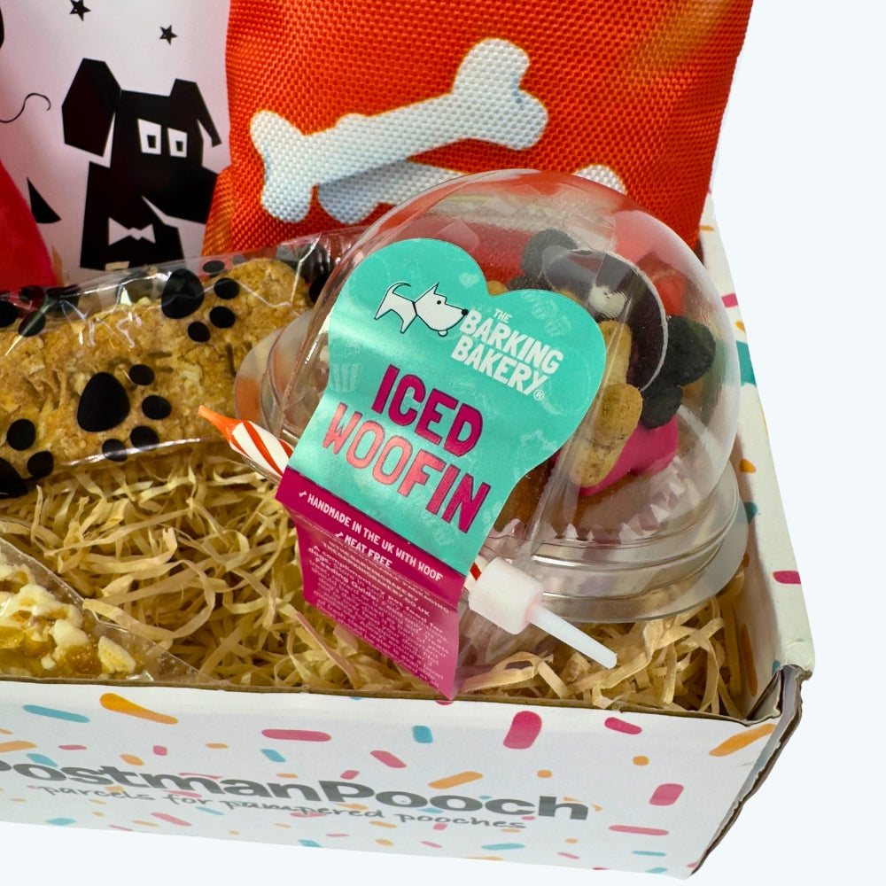 Movie Night Dog Birthday Box