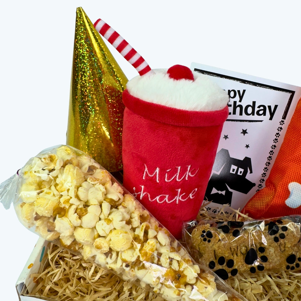 Movie Night Dog Birthday Box