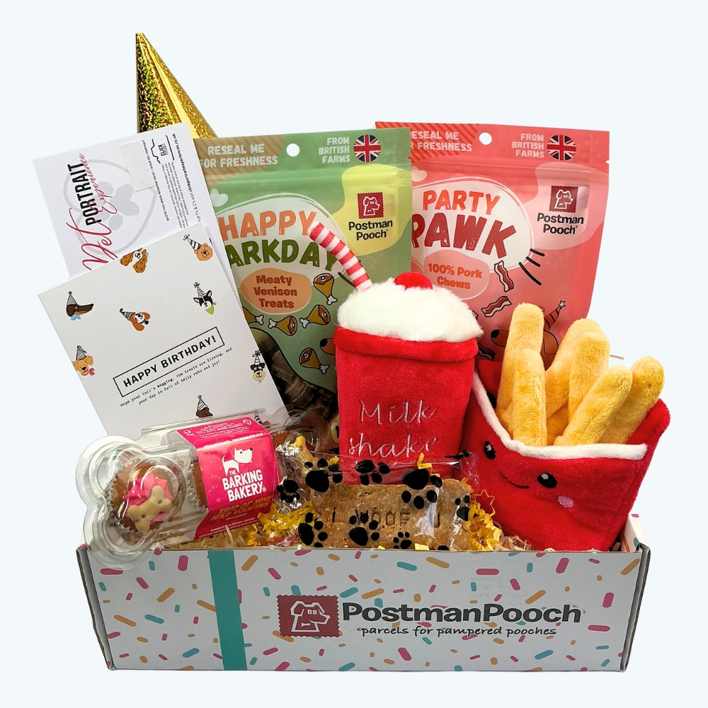 Fast Food Feast Dog Birthday Box