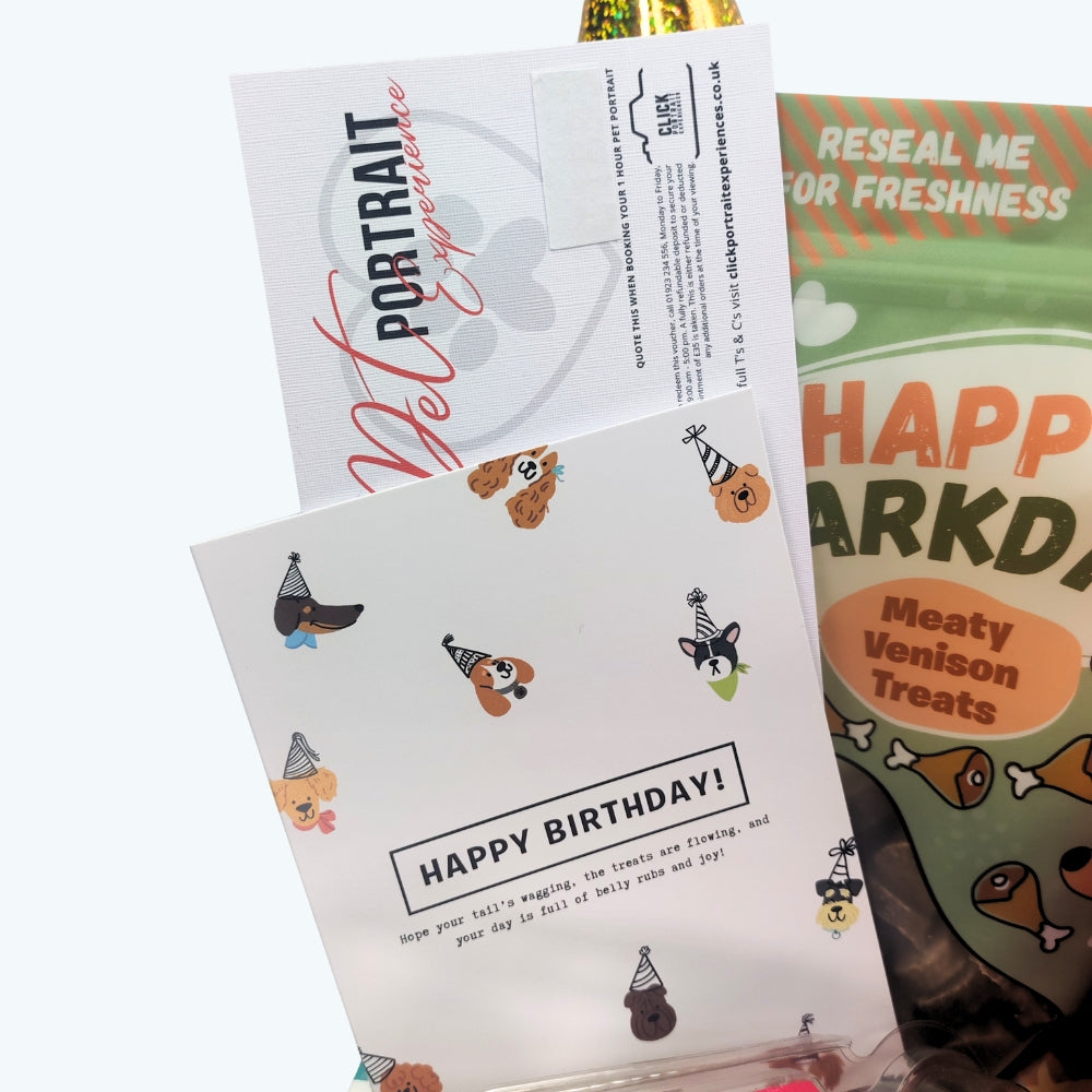 Fast Food Feast Dog Birthday Box